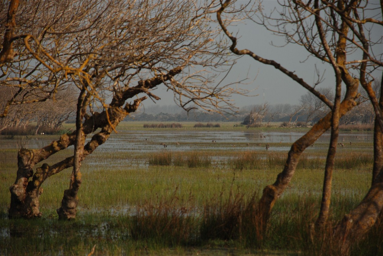 Oasi WWF Bolgheri Toscana